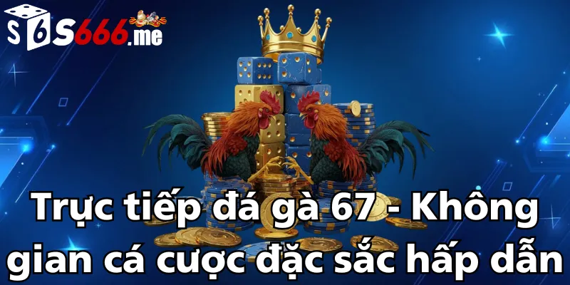 truc-tiep-da-ga-67-khong-gian-ca-cuoc-dac-sac-hap-dan