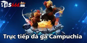 truc-tiep-da-ga-campuchia-binh-luan-vien